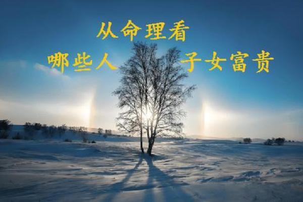 木命人适合嫁给什么命人？揭示你的缘分密码！