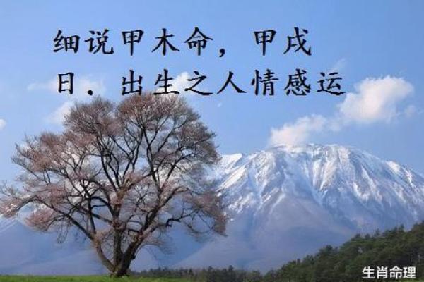 木命人适合嫁给什么命人？揭示你的缘分密码！