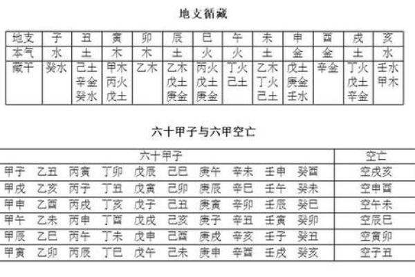命理与命局的区别：探究个体命运的奥秘与路径