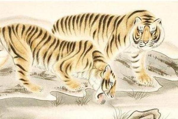 1991年属虎的命运解析：揭示生肖虎的性格与生辰八字的奥秘