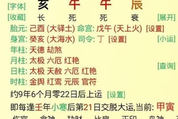 癸亥属猪的命格解析：命理与人生的独特旅程