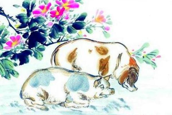 57年属猪的人命运分析及生活智慧