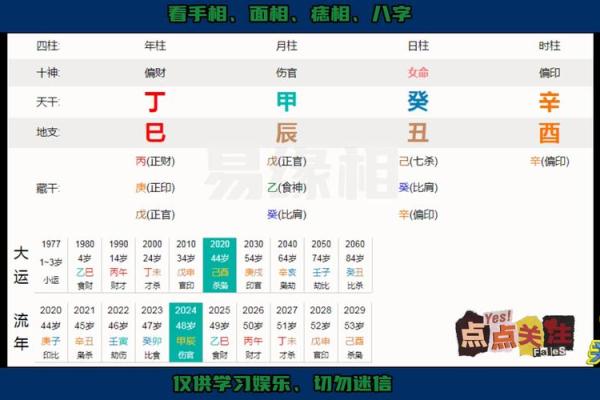 癸辛己命解析：纵览命理的奥秘与人生的方向