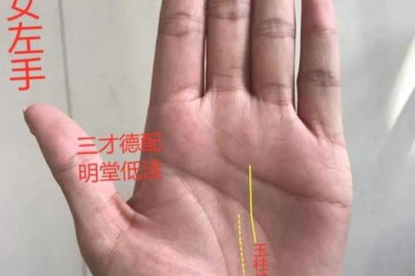 探索手相的奥秘：揭开你的财富与命运之谜