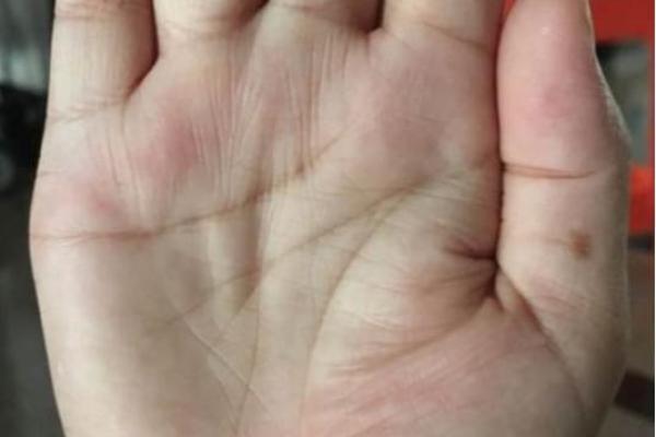探索手相的奥秘：揭开你的财富与命运之谜