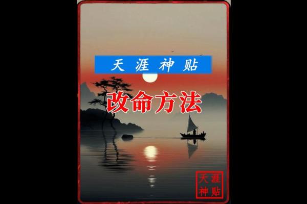 命运与自我：如何理解生命中的每一个选择与结果
