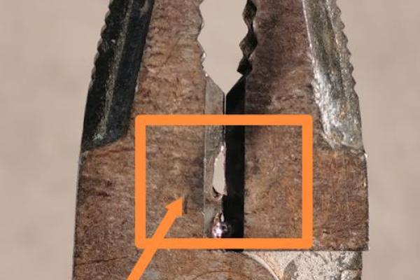 探寻杨柳木命的深意：命硬是否意味着命运的强韧？