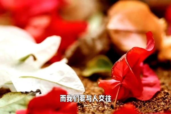 命阴的人嫁给命旺的人，幸福生活的秘密与心理解析