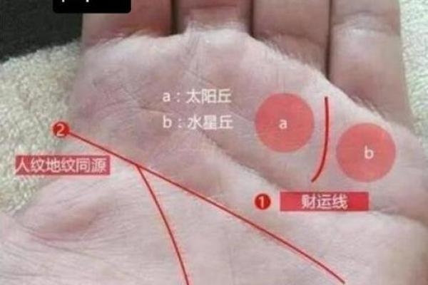 命理解析：1988621的命格与性格缺失之谜