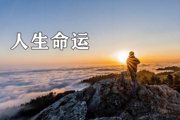 女人是财命，男人是什么命？探索人生的命运与角色