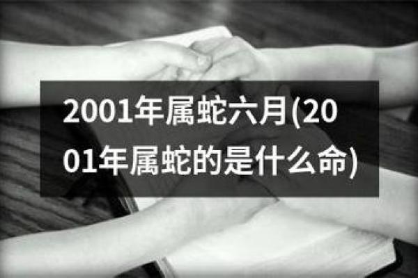 2002年生肖蛇的命运与性格特征解析