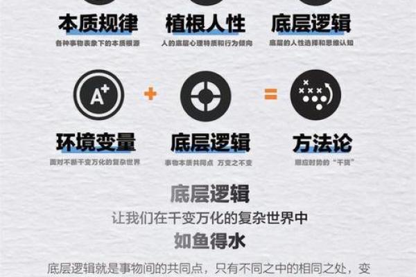 2001年出生的人命运解析：探索命运的奥秘与人生轨迹