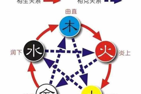 2017年：五行分析与命理缺失的深层启示