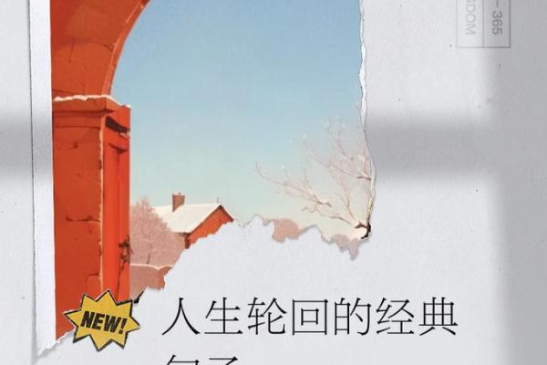 2001年出生的人命运解析：探索命运的奥秘与人生轨迹