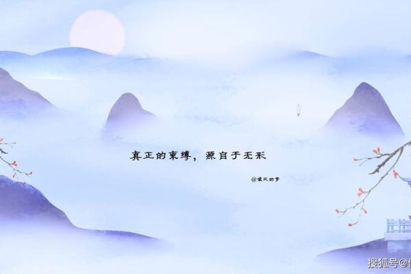 1953年的命运与色彩：探寻人生的颜色密码