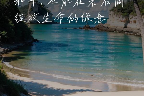 摩羯座的命运：从星辰中探索内心的力量与坚韧