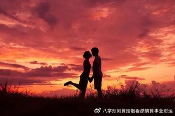 牛年遇鼠年：解密八字命理中的巧妙缘分