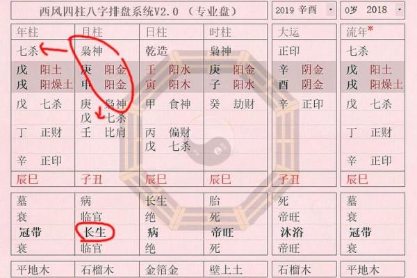 亥时出生的女孩命理分析：优雅与智慧的完美结合