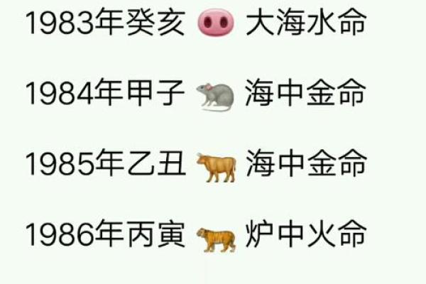 1996年出生的人命运解析：从五行看性格与未来