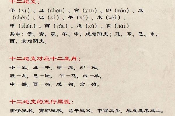 1950年属相解析：如何理解五行命理中的“金”与“羊”