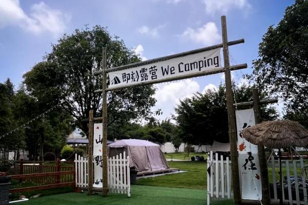 探秘龙的星座与命运：聪慧与力量的代名词