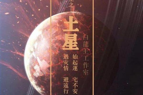 1978年农历出生的人命格与人生轨迹解析