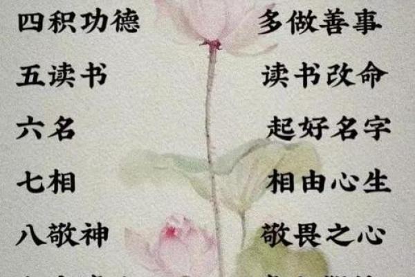 探索汉字笔画组合与命运之间的奥秘