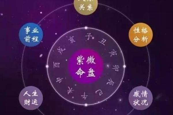 探索命格与命局的奥秘，揭示人生的真义与选择