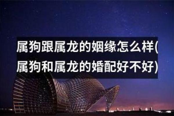 木命男与命女的理想配对：探索完美姻缘之路