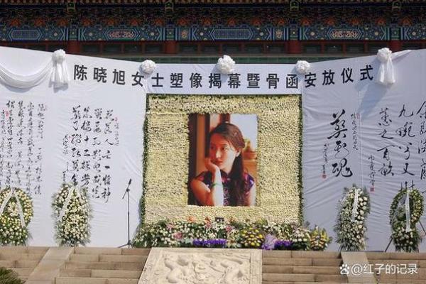 陈晓旭的命里注定：一位传奇艺术家的星辰之路