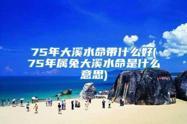 为什么水命是最好的命？探索水命背后的智慧与魅力