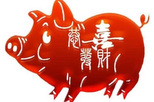 属猪人的命理解析与运势解读：揭开猪年之人的神秘面纱