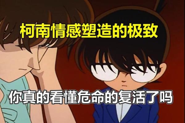 三虎命与五行相生相克，最佳配命解析！