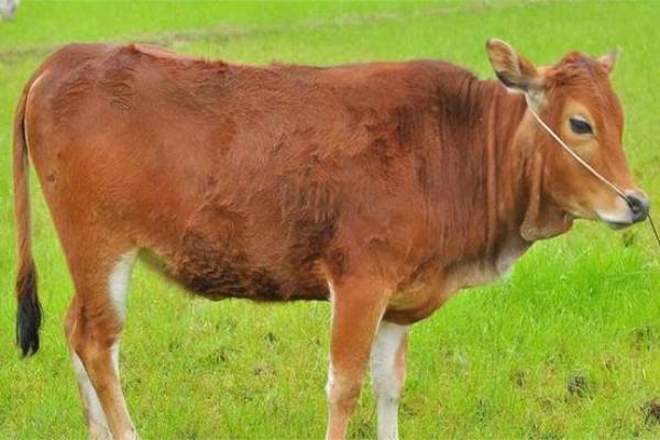 男人屁股干瘪,命运如何逆转?一探究竟! 男人屁股干瘪,命运如何逆转?一探究竟!