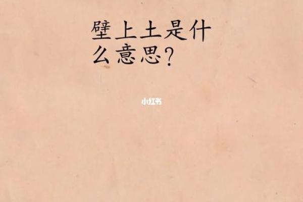 庚子年壁上土命：探寻命理中的缺失与补充之法