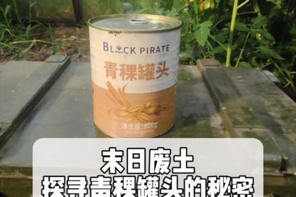 木命的人与什么命最合财：探寻财富的秘密之道