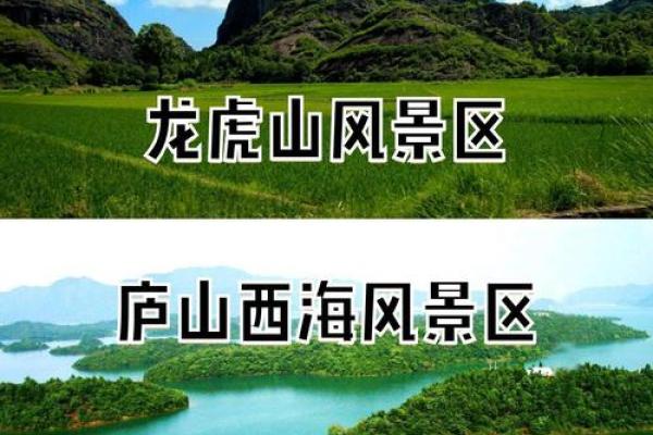 探秘“山”与“命”的成语之旅，领略中华文化的博大精深