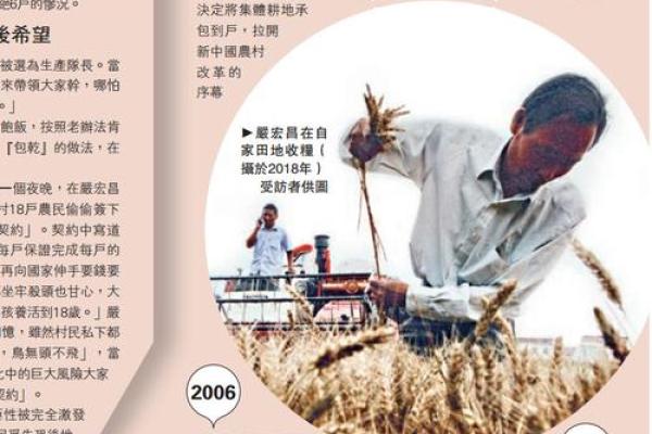 1994年腊月三十出生的人命运分析与生活启示
