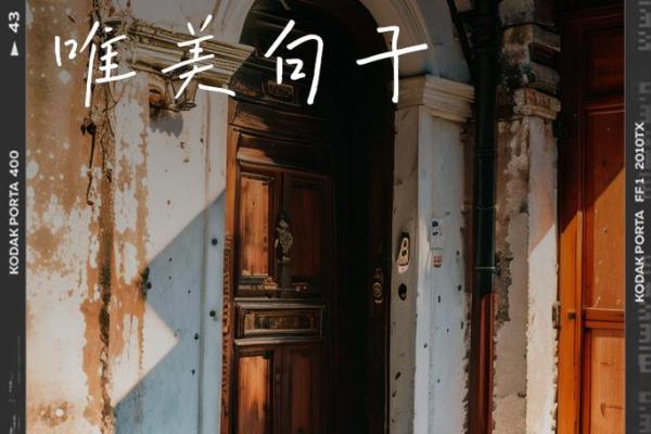 2024年以后的命运指引：生活方式与心灵成长的双重探索