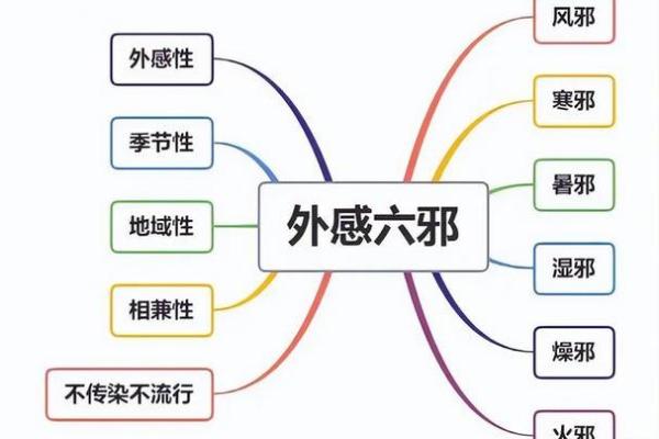 命理的隐秘：失去半条命究竟意味着什么？
