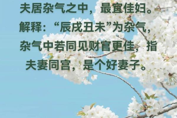 2023兔年命理解析：水兔与木兔的深度解析与运势探讨