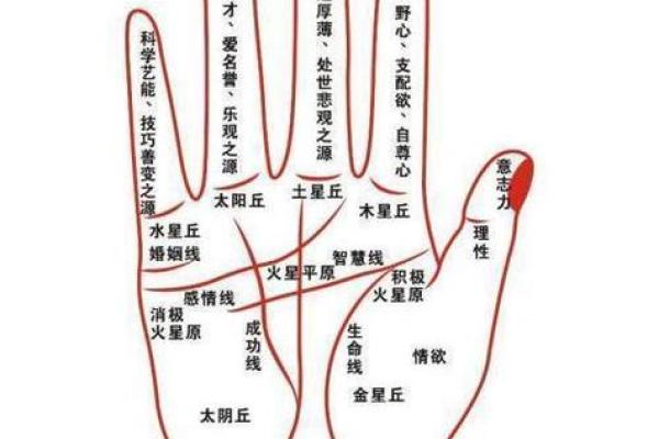木命人与其他命格的婚姻配对探讨