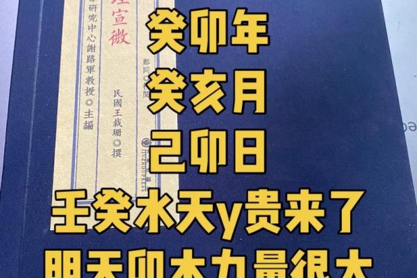 2023兔年命理解析：水兔与木兔的深度解析与运势探讨