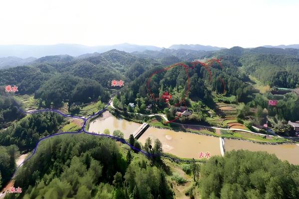 探秘81年木命：岁月与命运交织的神秘之木
