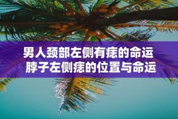 探秘2074年属什么命：未来命运的神秘揭示