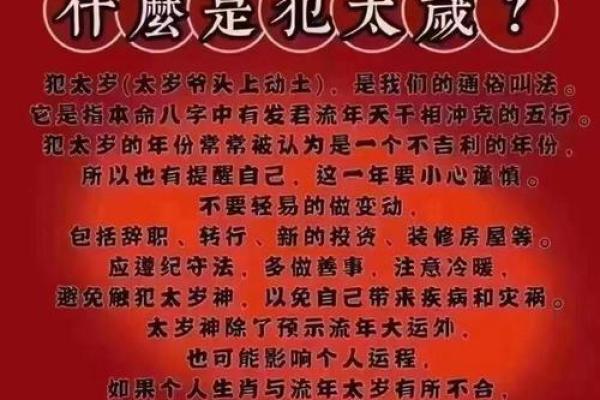 探索人缘最佳的命格：运势与性格的和谐交织