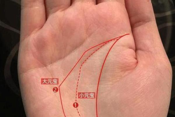 富贵命主的八字解析：为何她们的命运如此光辉灿烂