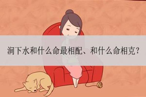 1997年是什么命？揭秘水命的特性与运程