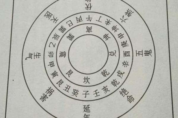 探秘命理：乾命与震命之间的微妙关系