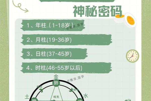 1985年出生命理解析：解码八字中的人生密码与运势指南